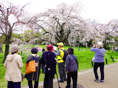 堺市観光ボランティア協会